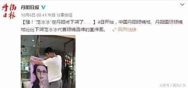 拆明星海报,揭秘明星魅力背后的故事