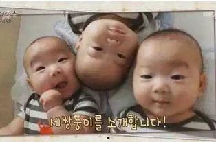 韩国宋家三胞胎表情包,萌态百出，笑点连连