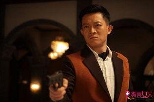 杨志刚资料,从演艺新星到实力派演员的蜕变之路