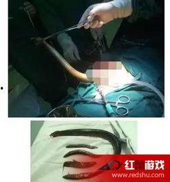 女主播把黄鳝塞进,黄鳝事件引发社会热议