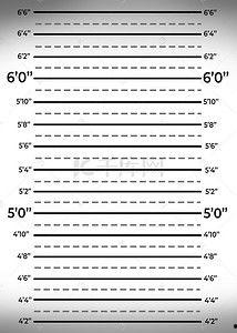 监狱照片背景,照片背后的冷峻与反思