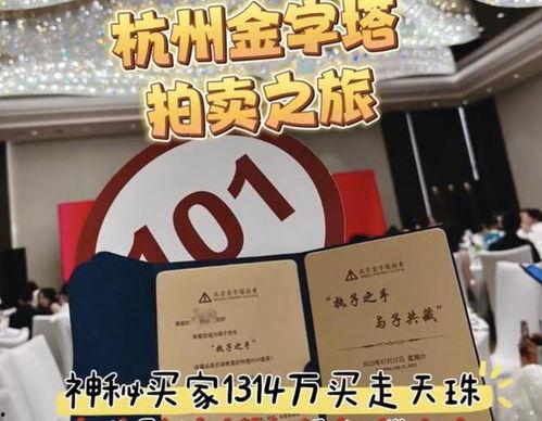 拍卖网红,揭秘网络红人的价值与魅力