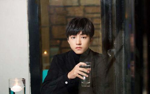 王俊凯娱乐圈同人文,王俊凯的娱乐圈奇幻之旅