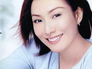 广东 明星,广东明星风采掠影