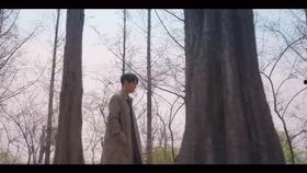 相依为命mv背景