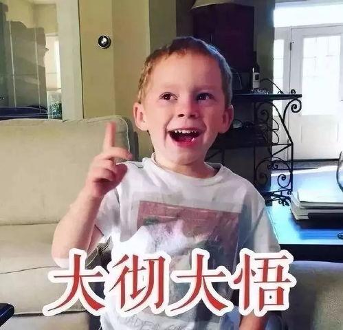 网红表情包原型,网络文化的潮流符号与社交新宠