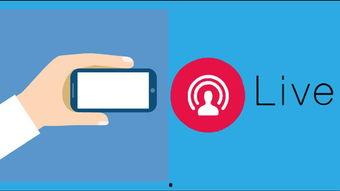 娱乐圈直播系统,娱乐圈直播系统揭秘，带你领略明星幕后